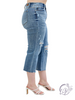 Curvy Susanna High Waist Destroy Crop Wide Leg by Judy Blue