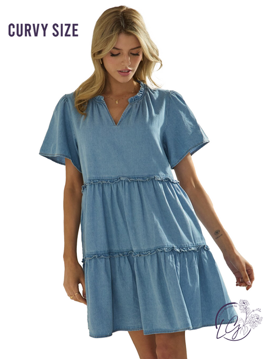 Curvy Wander in Indigo Babydoll Dress