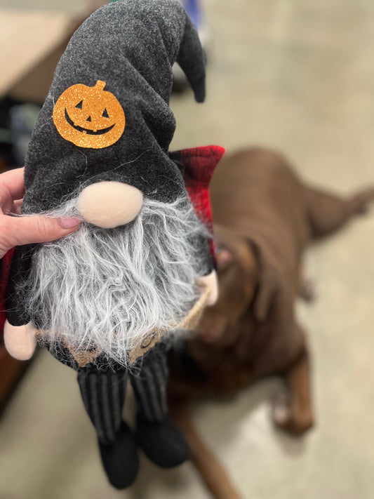 Halloween Gnomes