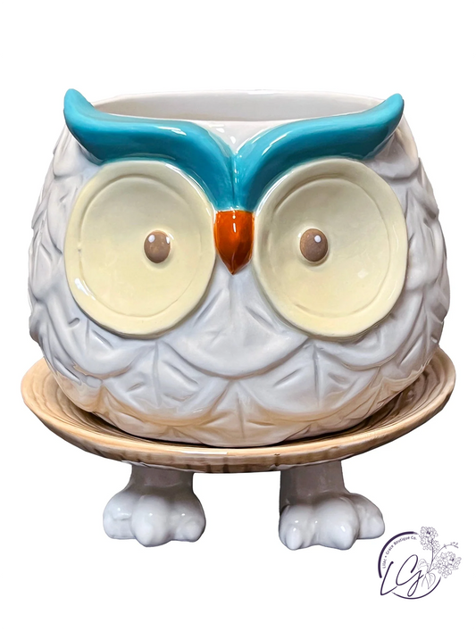 Hoots the Owl Footsie Planter